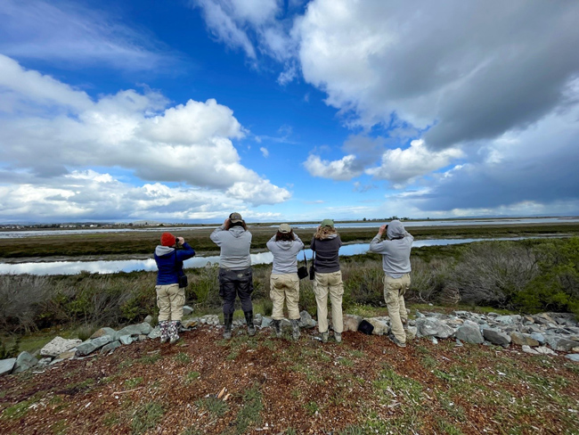 Five people seen from the back standing in a clearing in front of a line of rocks looking our over marshy wetlands with binoculars on a sunny day with blue sky and puffy clouds.